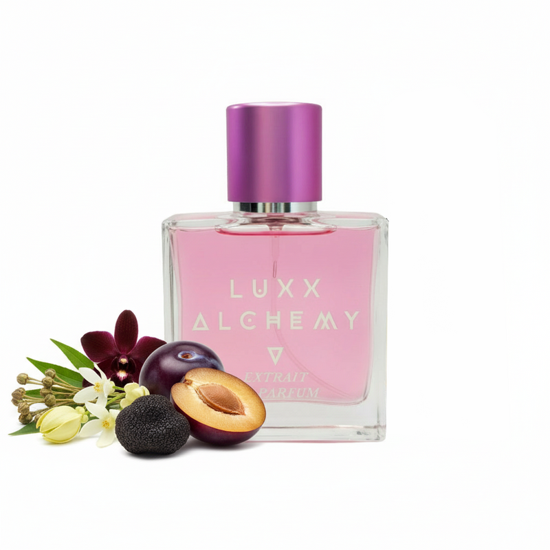 Niore Alchemia (Limited Edition)