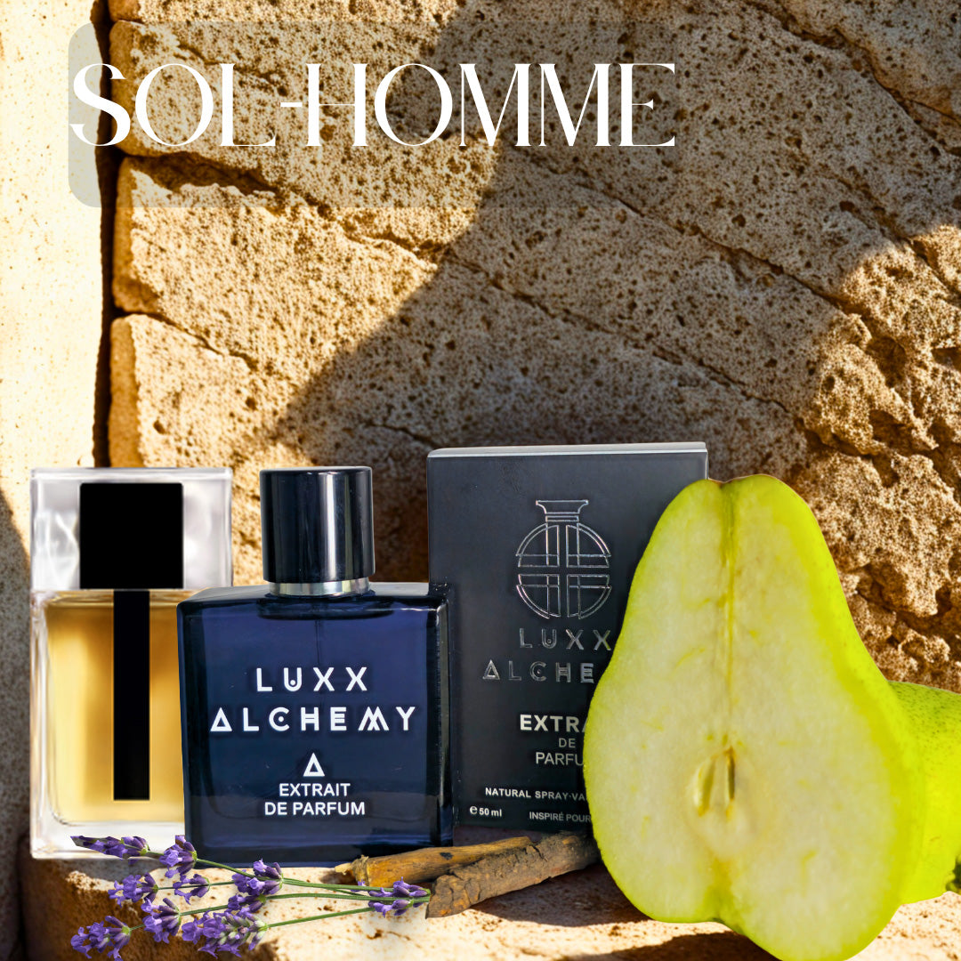 Sol-Homme - Inspired by Dior Homme Intense